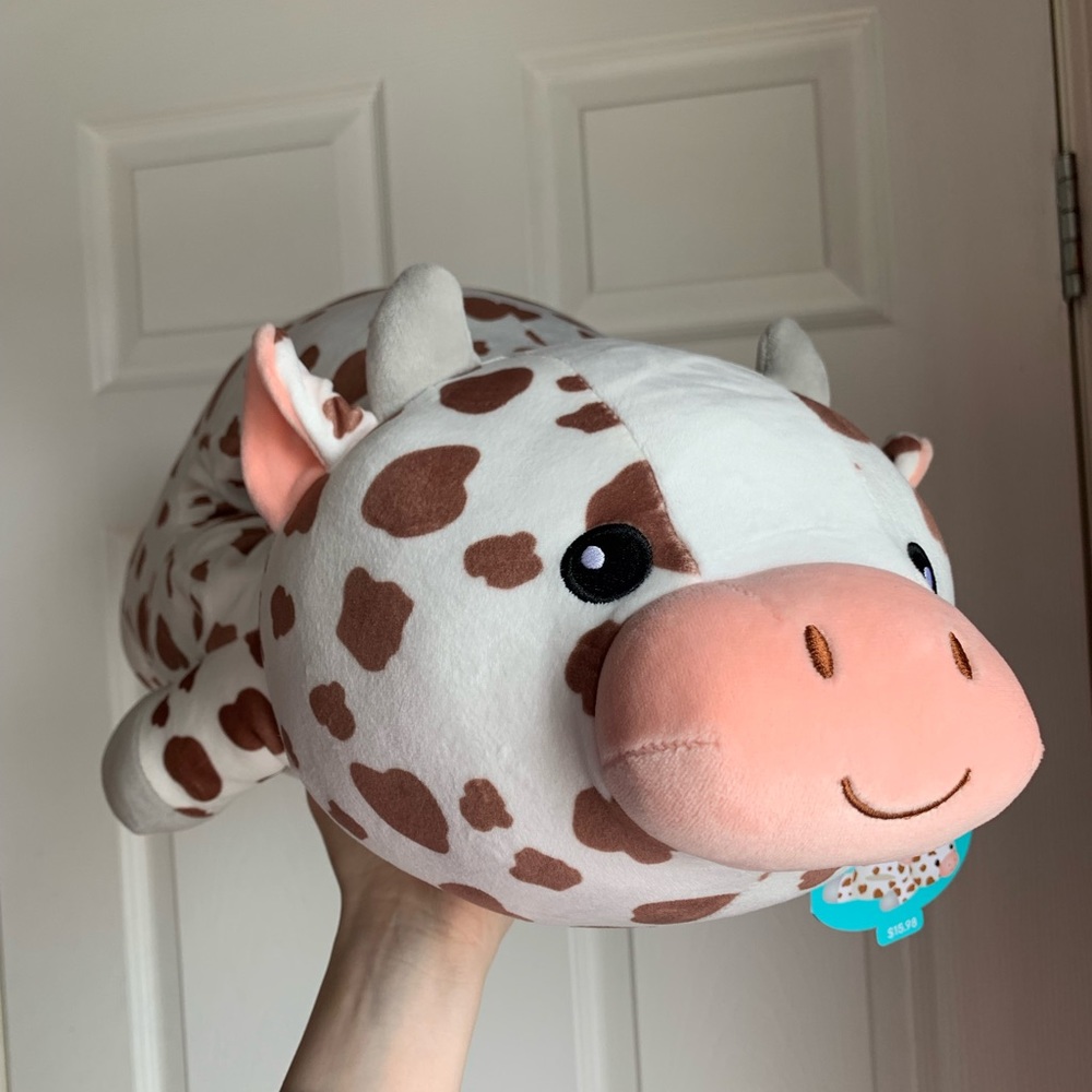 Aniceta squishmallow